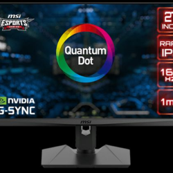 MSI QHD Rapid-IPS Quantum DOT Gaming Monitor Optix MAG274QRF-QD – Review 2024